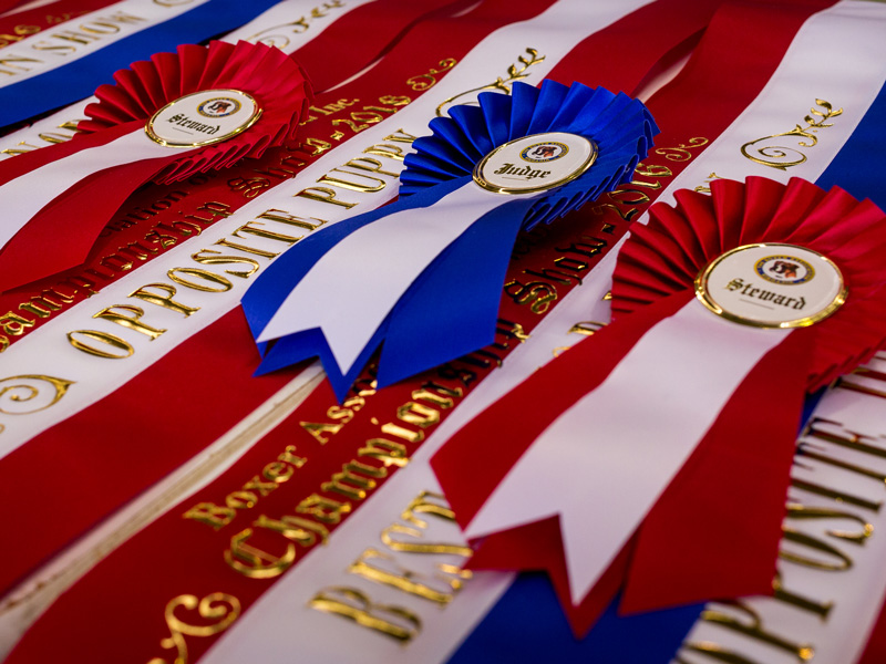 Championship Show ribbons and rosettes