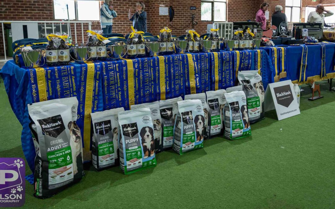 2025 Championship Show Report