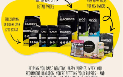 Blackdog Breeders Program